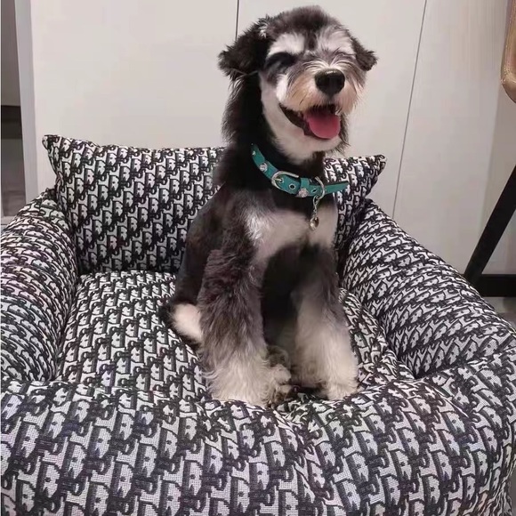 Dior Other - Small to medium dog bed . Machine washable removable cover with zipper